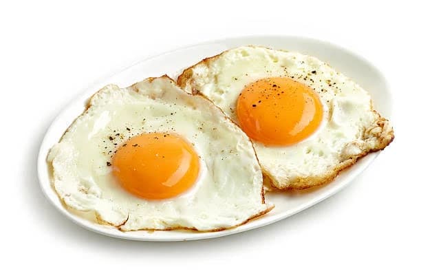 Egg
