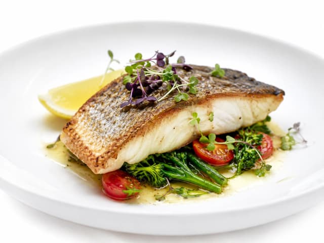 Barramundi