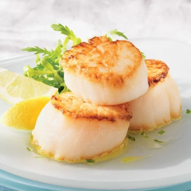 Scallop