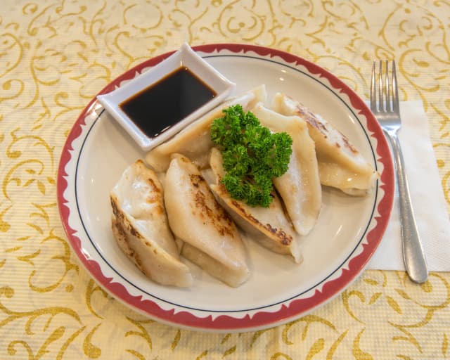 Pan-Fried Pork Dumplings (煎猪肉饺子)